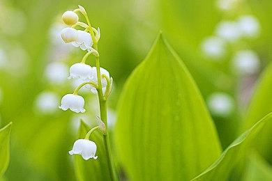 NBA2K24公布MyTEAM的优化更新